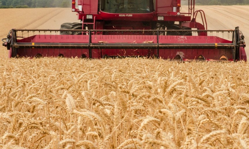 Россия - главный поставщик зерна в мире.